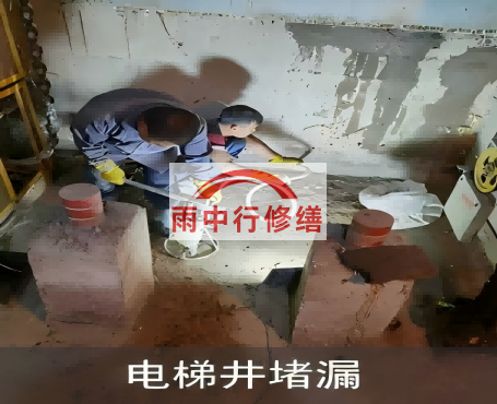奉节星雨华府电梯井堵漏案例